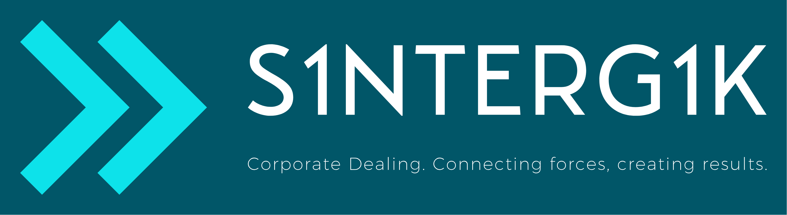 Identidad visual institucional de S1nterg1k